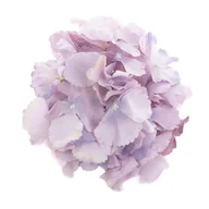 Sztuczne kwiaty - Duża hortensja wyrobowa 18cm 18-406 LU1 sztuczna główka hortensji - miniaturka - grafika 1