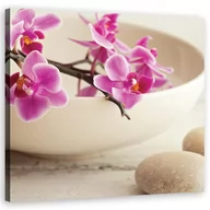Obrazy i zdjęcia na płótnie - Obraz na płótnie, Różowe orchidee w naczyniu (Rozmiar 60x60) - miniaturka - grafika 1