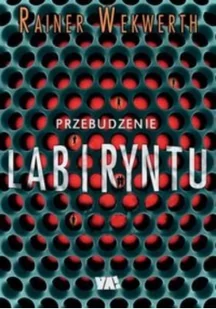 Przebudzenie labiryntu - Fantasy - miniaturka - grafika 2