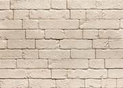 Elewacje - Stegu Płytka dekoracyjna gipsowa Brickal z fugą kremowa 0,48 m2 ST-PL-BRI-001-1 - miniaturka - grafika 1