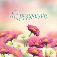 Aforyzmy i sentencje - Z przyjaźnią - miniaturka - grafika 1
