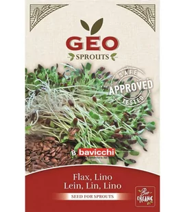 Len - nasiona na kiełki GEO, certyfikowane, 80g, Bavicchi (ZLN0103) - Zdrowa żywność - miniaturka - grafika 1