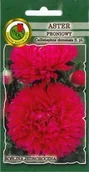 Nasiona i cebule - Aster peoniowy różowopurpurowy 0,8 g PNOS - miniaturka - grafika 1
