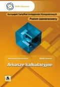 Aplikacje biurowe - Arkusze kalkulacyjne. Poziom zaawansowany - miniaturka - grafika 1