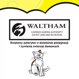 DREAMIES 6x60g - przysmak dla kota z pysznym serem - Przysmaki dla kotów - miniaturka - grafika 4