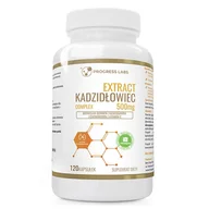Witaminy i minerały dla sportowców - PROGRESS LABS PROGRESS LABS Kadzidłowiec Extract Complex 500mg 120caps - miniaturka - grafika 1