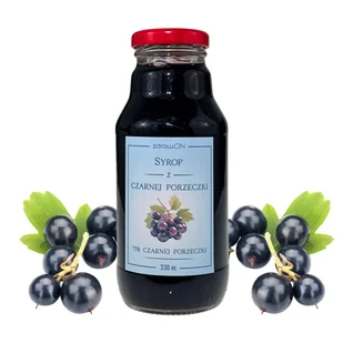 SYROP Z CZARNEJ PORZECZKI CZARNA PORZECZKA NFC Z ROZTOCZA 330 ML ZDROWON - Syropy i koncentraty owocowe - miniaturka - grafika 1