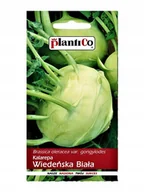 Nasiona i cebule - Plantico Kalarepa Wiedeńska biała - miniaturka - grafika 1