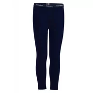 Legginsy - Legginsy dziecięce Icebreaker 260 Tech 104500401 - miniaturka - grafika 1