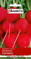 Nasiona i cebule - Plantico Rzodkiewka Carmen - miniaturka - grafika 1