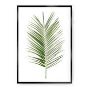Plakaty - Dekoria Dekoria Plakat Palm Leaf Green 50 x 70 cm Ramka Srebrna 222G-000-06 - miniaturka - grafika 1