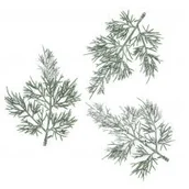 Zabawki kreatywne - Gałązki tuji 13cm 3 szt. - miniaturka - grafika 1