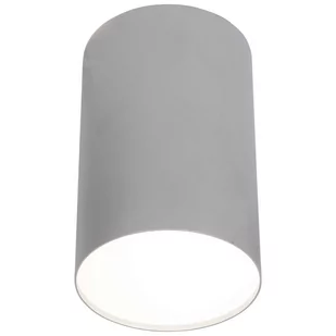 Nowodvorski Plafon LAMPA sufitowa POINT PLEXI L 6531 metalowa OPRAWA SPOT downlight okrągła srebrny - Lampy sufitowe - miniaturka - grafika 2
