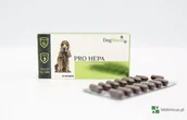 Suplementy i witaminy dla psów - DogShield Pro Hepa 45 kapsułek - preparat dla psa na wątrobę - miniaturka - grafika 1
