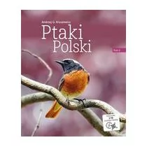 Ptaki Polski Tom 2 Andrzej G Kruszewicz - Albumy - przyroda - miniaturka - grafika 1