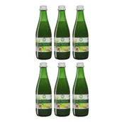 Soki i napoje niegazowane - Bio Food Seler naciowy 100% ekologiczny kiszony Zestaw 6 x 300 ml Bio - miniaturka - grafika 1
