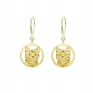 Kolczyki - Kolczyki Złote Kot Amerykański Krótkowłosy 925 Prezent Biżuteria GRAWER - miniaturka - grafika 1