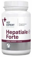 Suplementy i witaminy dla psów - Hepatiale Forte Large Breed (duże psy) 40 tabl. - miniaturka - grafika 1