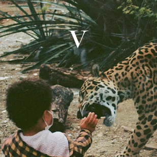 Unknown Mortal Orchestra V - Winyle - miniaturka - grafika 1