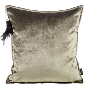 EUROFIRANY" B.B. CHOCZYŃSCY SPÓŁKA JAWNA Poszewka 45 x 45 Royal Welwet 5 Eurofirany C.Beż 1224589 - Poszewki na poduszki - miniaturka - grafika 1