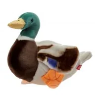 Maskotki i pluszaki - Maskotka Pluszowa Dzika Kaczka kaczuszka 20 cm - miniaturka - grafika 1