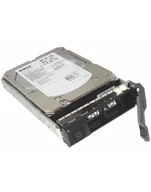 Dyski serwerowe - dell technologies D-ELL 4TB Hard Drive NLSAS 12Gbps 7K RPM 512n 3.5in Hot-pluin HYB CARR 14g - miniaturka - grafika 1
