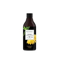 Szampony do włosów - Botanic Botanic Hairfood Szampon Do Włosów Nawilżający 500 Ml 189905 - miniaturka - grafika 1