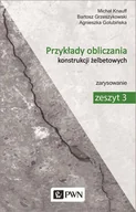 Technika - PRZYKŁADY OBLICZANIA KONSTRUKCJI ŻELBETOWYCH ZESZYT 3 Michał Knauff - miniaturka - grafika 1