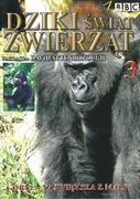 Filmy dokumentalne DVD - Dziki Świat Zwierząt: Goryl - Największa z Małp - miniaturka - grafika 1