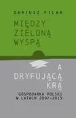 Ekonomia - Między zieloną wyspą a dryfującą krą - miniaturka - grafika 1