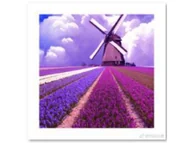 Zabawki kreatywne - Haft Diamentowy, Obraz, Mozaika Diamentowa Diamond Painting, Wiatrak 30X30Cm - miniaturka - grafika 1