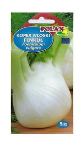 Koper włoski Fenkuł De Florence 5 g POLAN - Nasiona i cebule - miniaturka - grafika 1