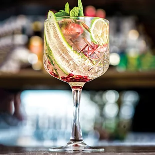 Pasabahce Timeless zestaw 4 kieliszków do wina Gin & Tonic CL 55, 4 sztuki - Kieliszki - miniaturka - grafika 1
