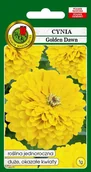 Nasiona i cebule - Cynia daliowa Golden Dawn żółta 1 g PNOS - miniaturka - grafika 1