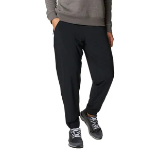 Spodnie trekkingowe damskie Columbia Pleasant Creek Warm Jogger - Spodnie męskie - miniaturka - grafika 1