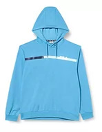 Bluzy męskie - FILA Męska bluza z kapturem Sanford Block Stripes, niebieska (Cendre Blue), M, cendre blue, M - miniaturka - grafika 1