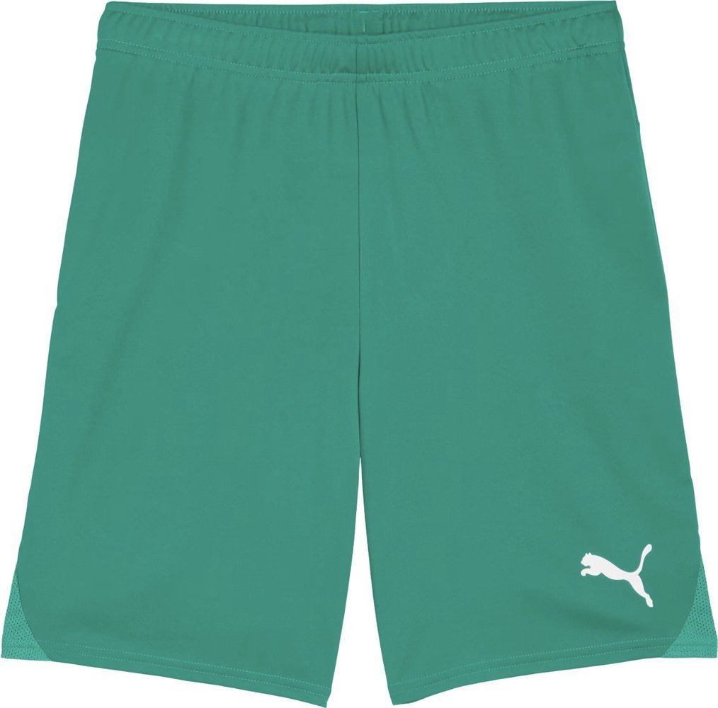 Spodenki męskie Puma Team Goal zielone 705752 05 S