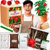 Nasiona i cebule - Papryka Carolina Reaper HP22B Red nasiona Zestaw do uprawy XXL Bardzo Ostra - miniaturka - grafika 1