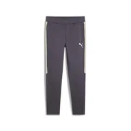Spodnie sportowe męskie - Męskie spodnie EVOSTRIPE PUMA Galactic Gray - miniaturka - grafika 1