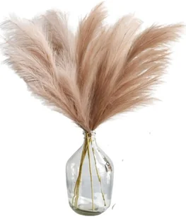 Trawa Pampasowa Do Wazonu Ozdobna Sztuczna Dekoracyjna Pampasy Kwiaty x1 - Sztuczne kwiaty Trawa Pampasowa Do Wazonu Ozdobna Sztuczna Dekoracyjna Pampasy Kwiaty x1 - Sztuczne kwiaty - miniaturka - grafika 1