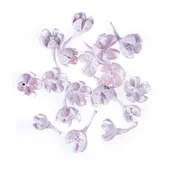 Zabawki kreatywne - Suszone Owoce Różowe 10G - miniaturka - grafika 1