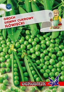 Groch siewny cukrowy Iłówiecki 40g / O / - Nasiona i cebule - miniaturka - grafika 1