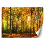 Fototapety - Fototapeta, Jesienny las (Rozmiar 400x280) - miniaturka - grafika 1