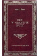 Poezja - Sen w granicie kuty - miniaturka - grafika 1