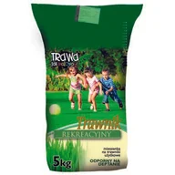 Trawy i trawniki - Trawnik Rekreacyjny 5 kg worek papierowy - miniaturka - grafika 1