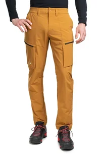 Spodnie puez dst cargo-golden brown - SALEWA - Spodnie sportowe damskie - miniaturka - grafika 1