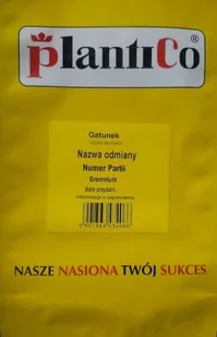 Kabaczek Złoty Cepelin 100 g Plantico POLAN - Nasiona i cebule - miniaturka - grafika 1