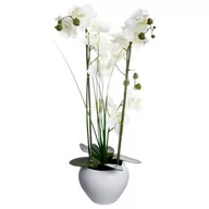 Dekoracje domu - Atmosphera Créateur d'intérieur Atmosphera Créateur dintérieur Sztuczna orchidee w ceramicznej doniczce sztuczne kwiaty uniwersalna dekoracja ozdoba pokoju biura biała doniczka B072VR4W5L - miniaturka - grafika 1