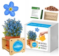 Nasiona i cebule - Zestaw do uprawy NIEZAPOMINAJKA niebieska prezent - miniaturka - grafika 1