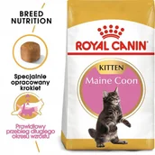 Sucha karma dla kotów - ROYAL CANIN Maine Coon Kitten 2kg + niespodzianka dla kota GRATIS! - miniaturka - grafika 1